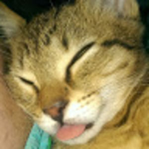 Meet your Posher, Deborah